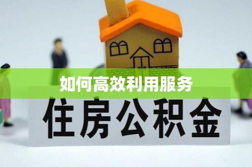 福建如何高效利用服务